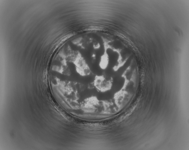 X0000113081121200909250944