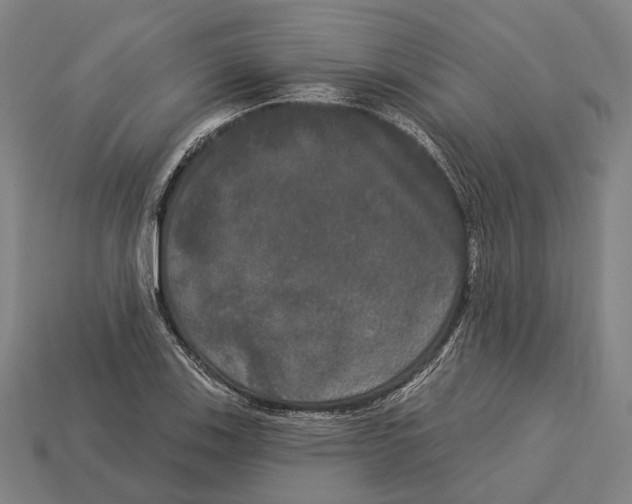 X0000113081123200909250944