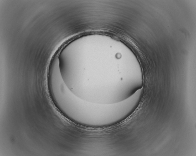 X0000113081124200909250944