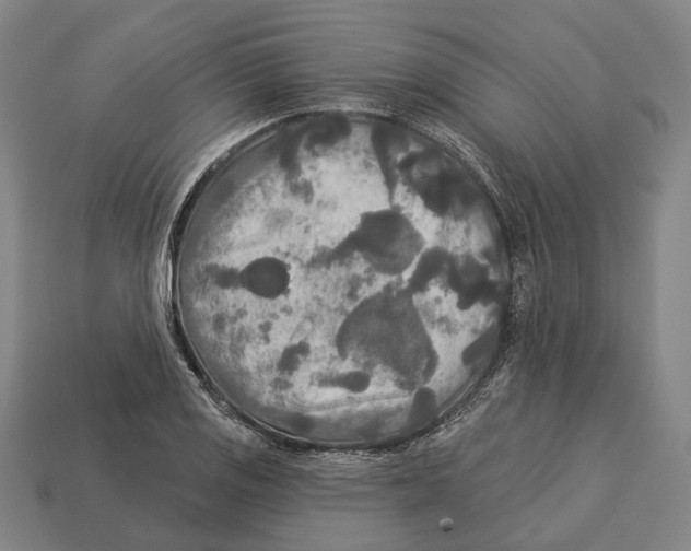 X0000113081125200909250944