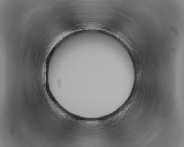 X0000113081126200909250944