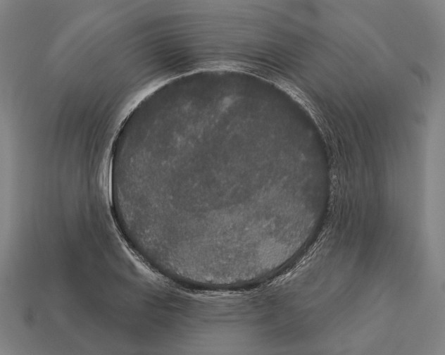 X0000113081127200909250944