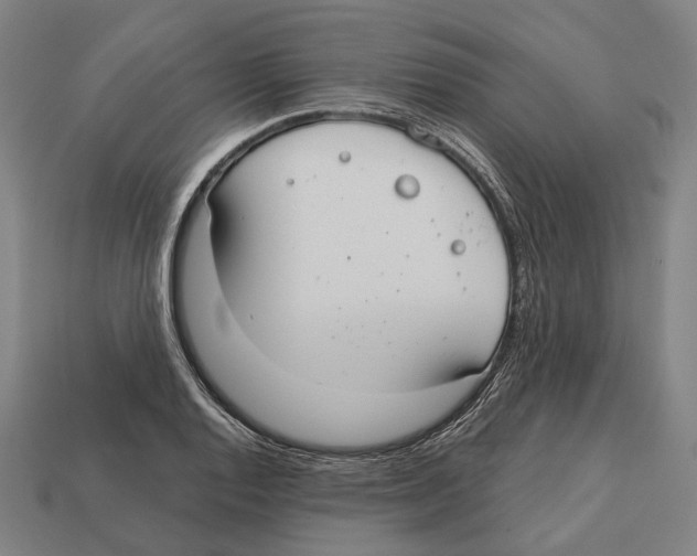 X0000113081128200909250944