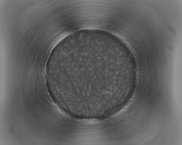 X0000113081129200909250944