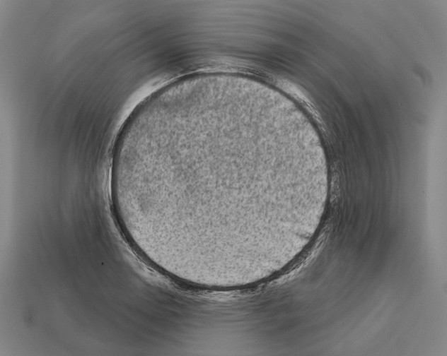 X0000113081130200909250944