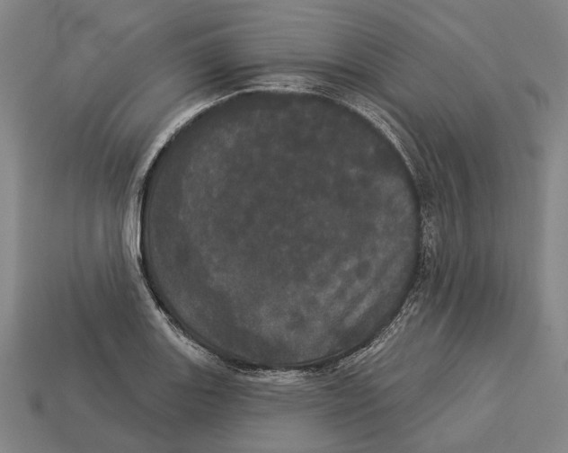 X0000113081131200909250944