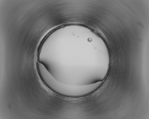 X0000113081132200909250944