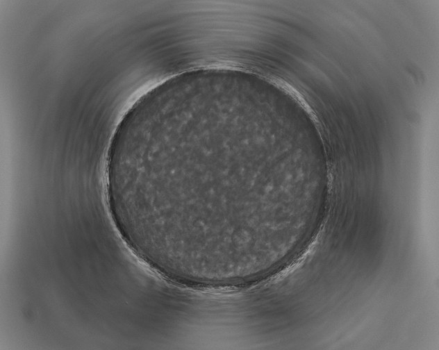 X0000113081133200909250944