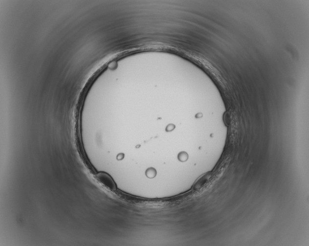 X0000113081134200909250944