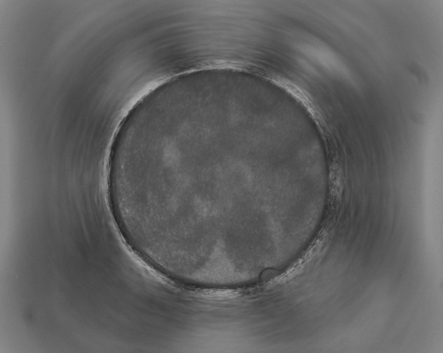 X0000113081135200909250944