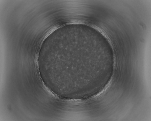 X0000113081137200909250944