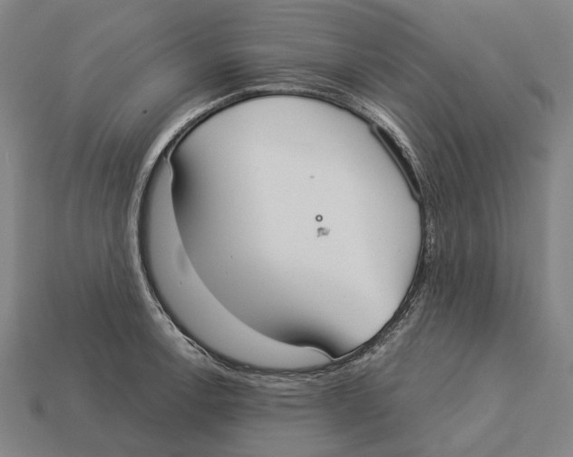 X0000113081138200909250944