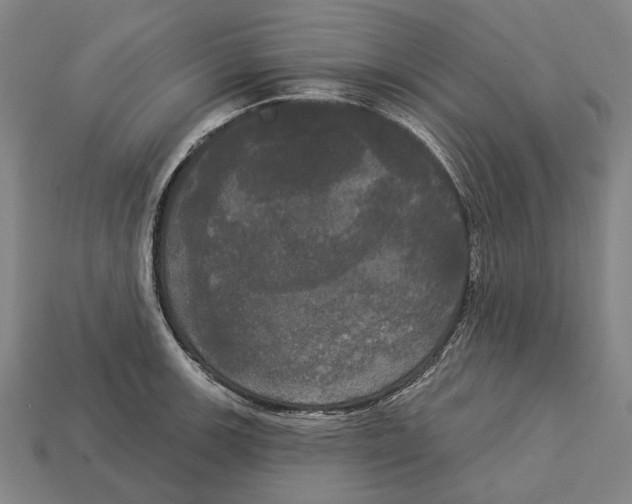 X0000113081139200909250944