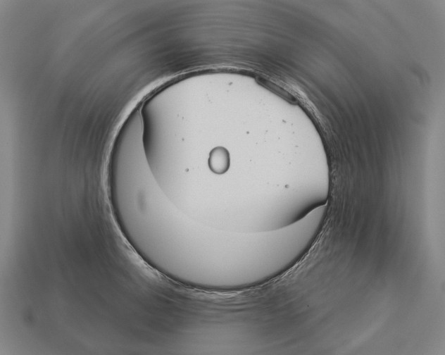 X0000113081140200909250944