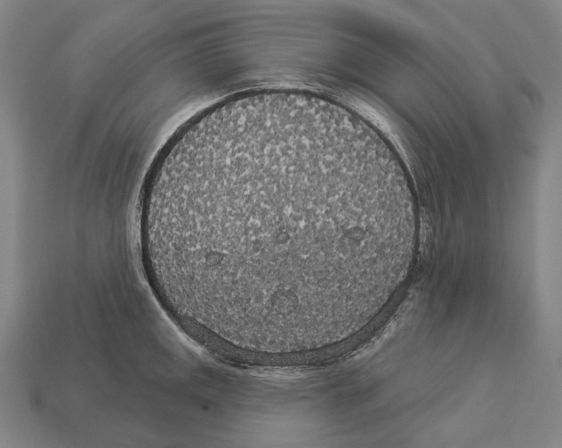 X0000113081141200909250944