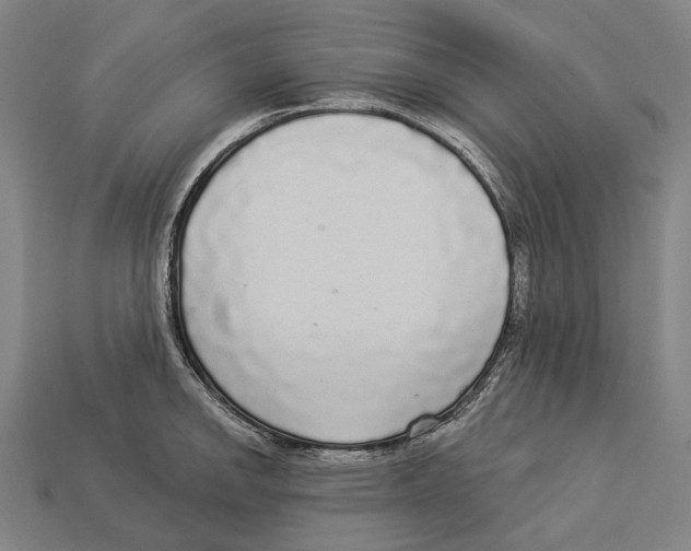 X0000113081142200909250944