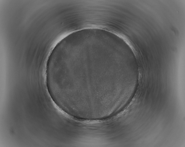 X0000113081143200909250944