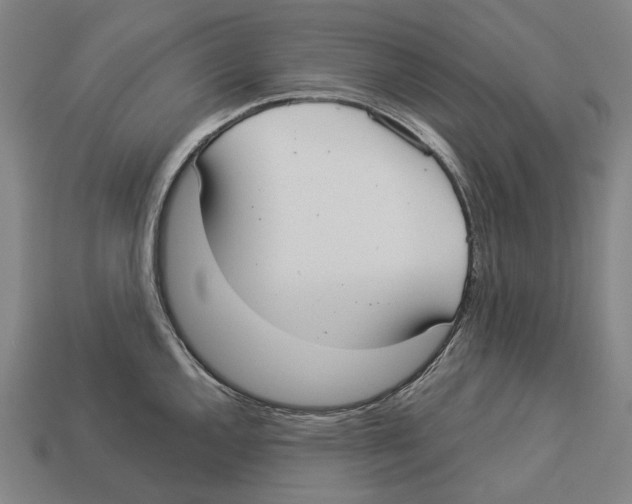 X0000113081144200909250944