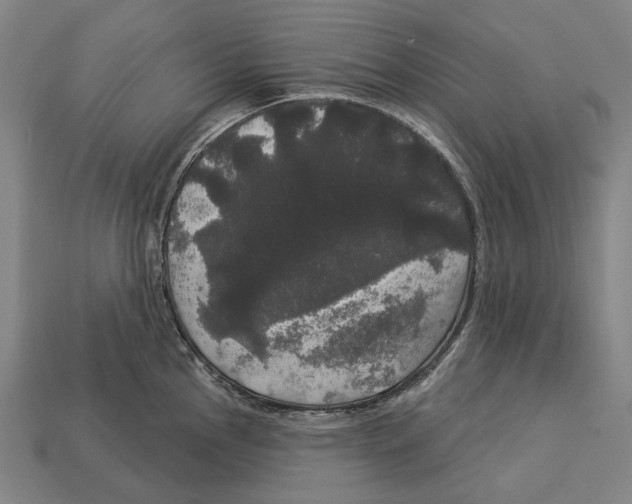 X0000113081145200909250944