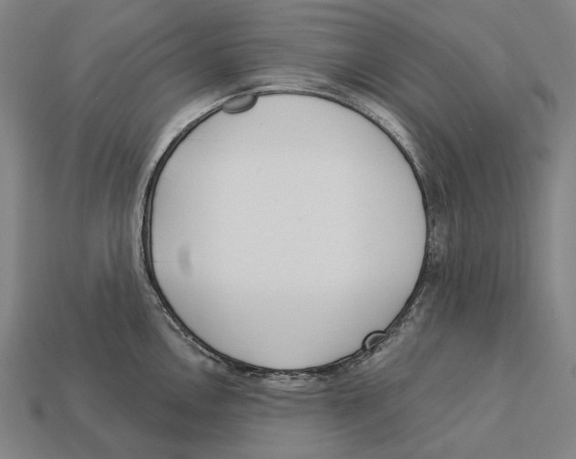 X0000113081146200909250944