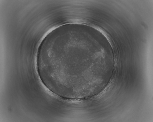 X0000113081147200909250944