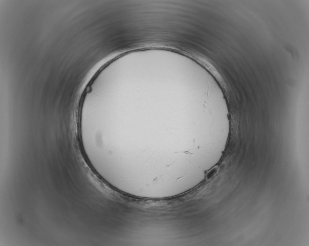 X0000113081148200909250944