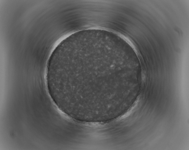 X0000113081149200909250944