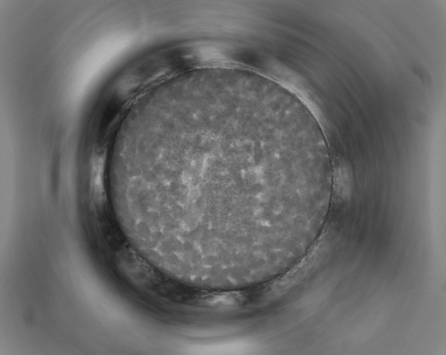 X0000113081150200909250944