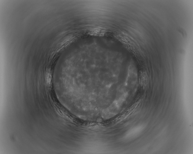X0000113081154200909250944