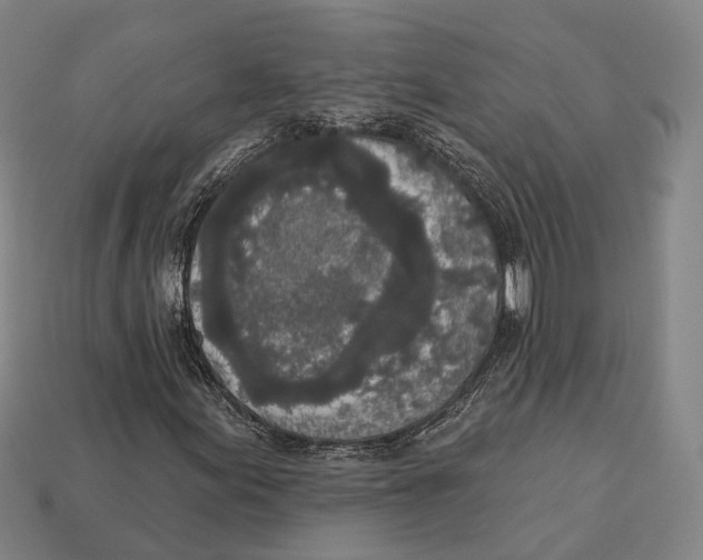 X0000113081155200909250944