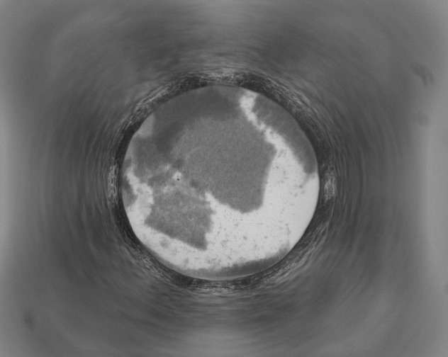 X0000113081156200909250944