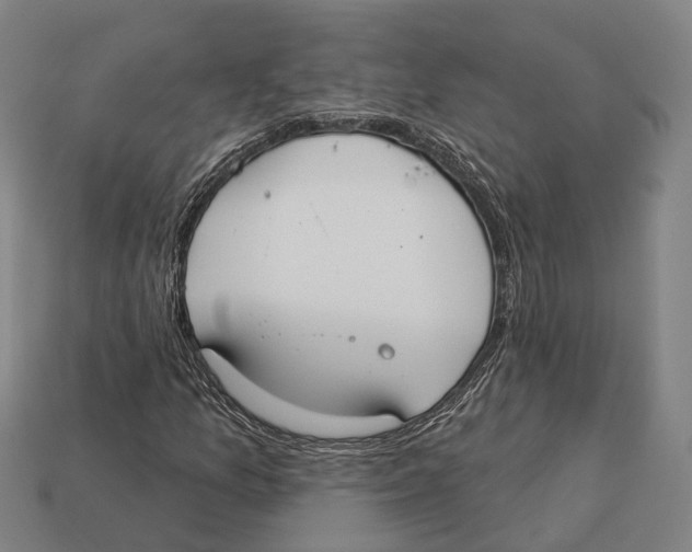 X0000113081157200909250943