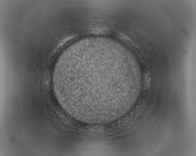 X0000113081158200909250943