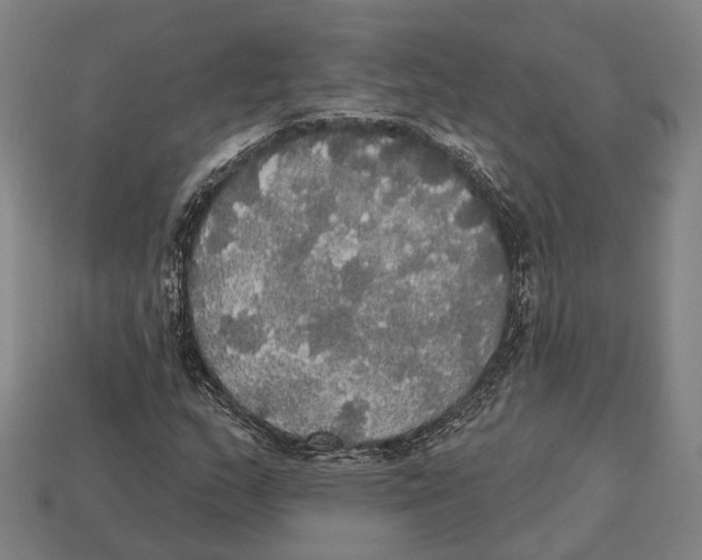 X0000113081159200909250943