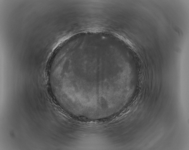 X0000113081160200909250943