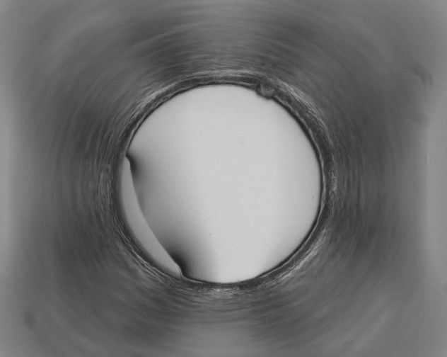 X0000113081161200909250943