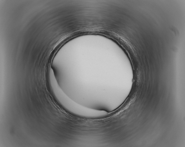 X0000113081162200909250943