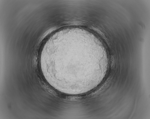 X0000113081163200909250943