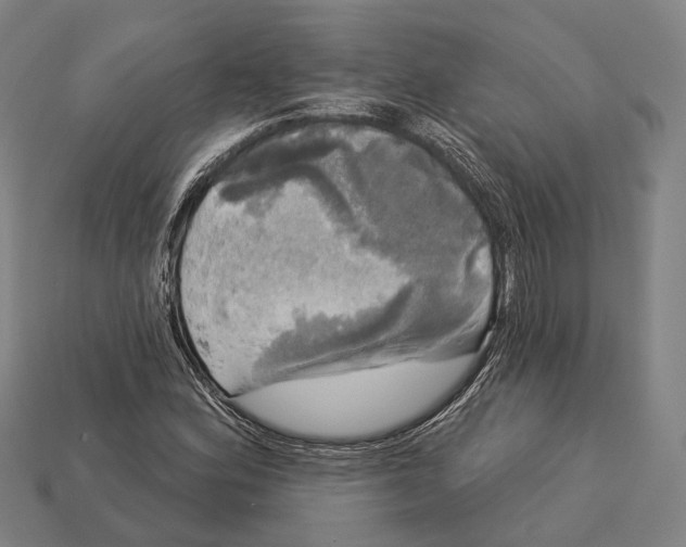 X0000113081164200909250943