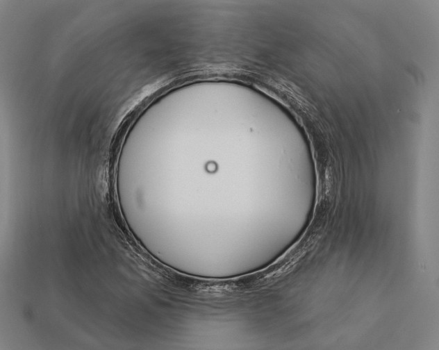 X0000113081165200909250943