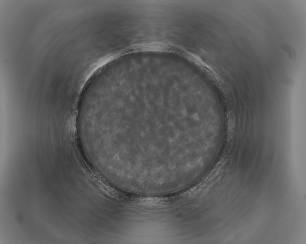 X0000113081166200909250943