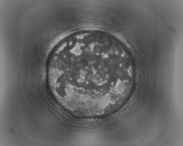 X0000113081167200909250943