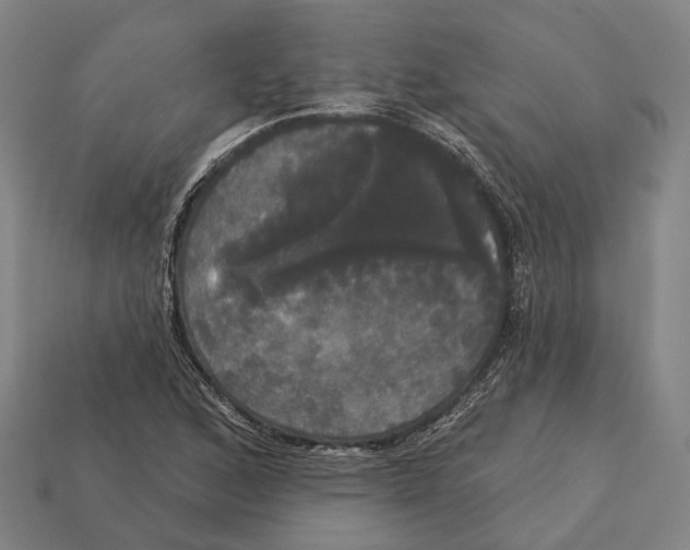 X0000113081168200909250943