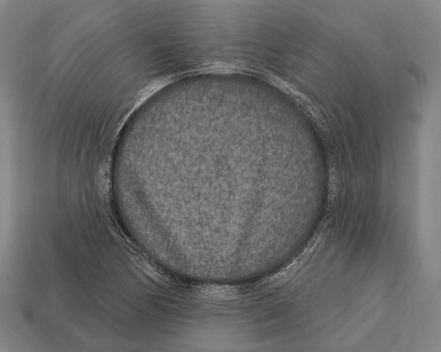 X0000113081170200909250943