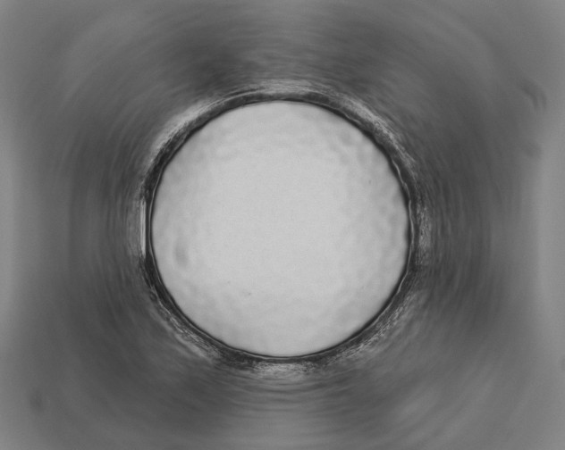 X0000113081171200909250943