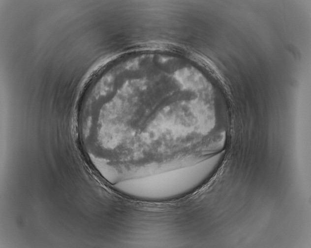 X0000113081172200909250943