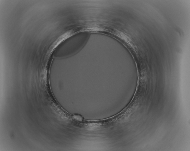 X0000113081173200909250943