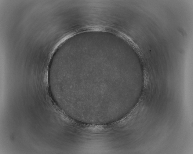 X0000113081174200909250943