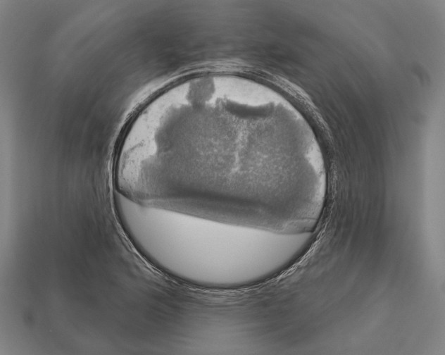 X0000113081176200909250943