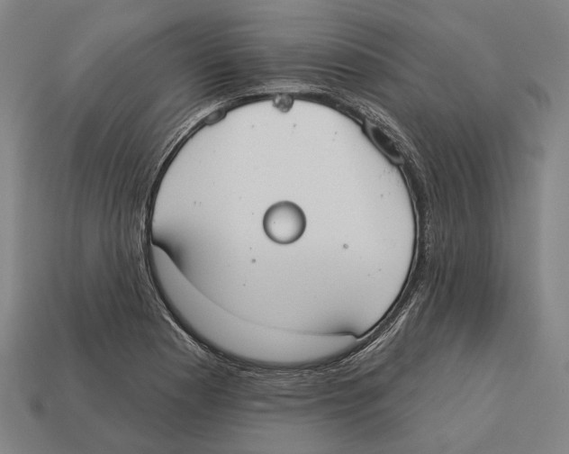 X0000113081177200909250943